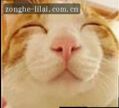 张涛